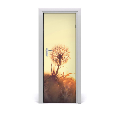 Fototapeta samolepící Pampeliška