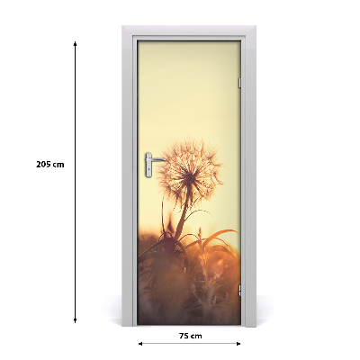 Fototapeta samolepící Pampeliška