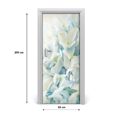 Fototapeta samolepící květ hortensie