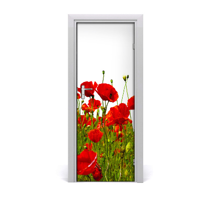 Fototapeta samolepící pole máků