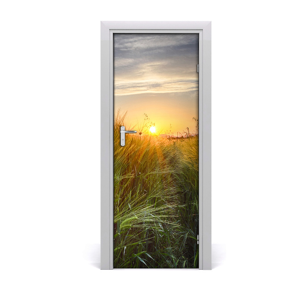 Fototapeta na dveře obilí pole