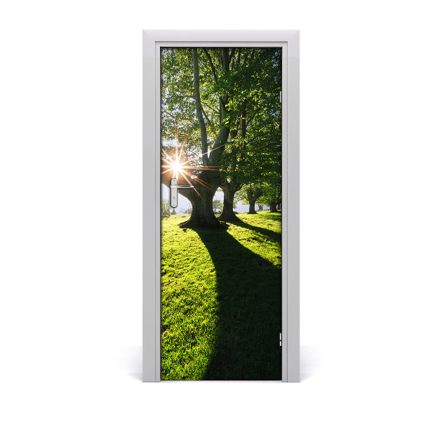 Fototapeta na dveře park