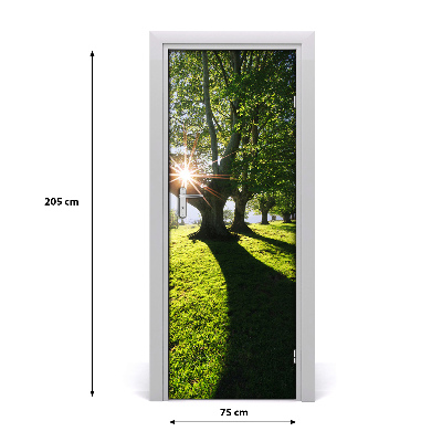 Fototapeta na dveře park