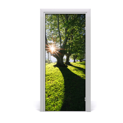 Fototapeta na dveře park