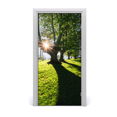 Fototapeta na dveře park