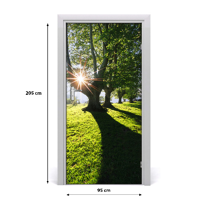 Fototapeta na dveře park