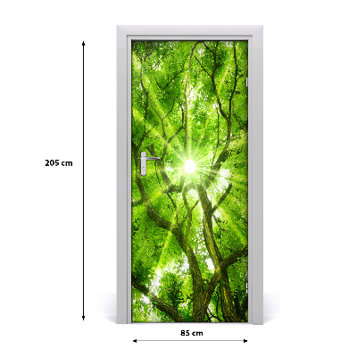 Fototapeta samolepící koruna stromů