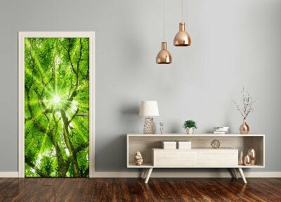 Fototapeta samolepící koruna stromů