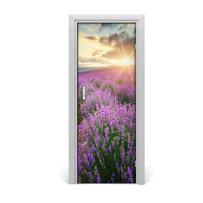 Fototapeta na dveře pole levandule
