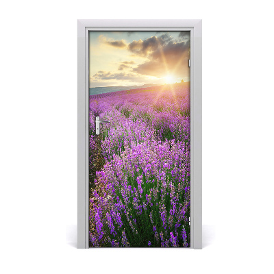 Fototapeta na dveře pole levandule