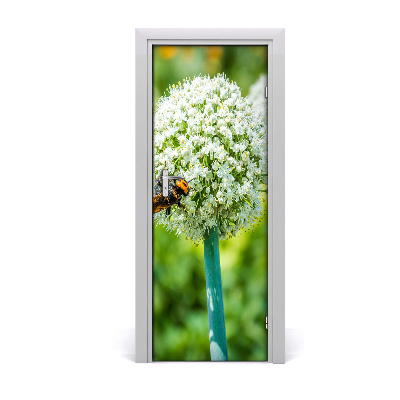 Fototapeta samolepící květ česneku