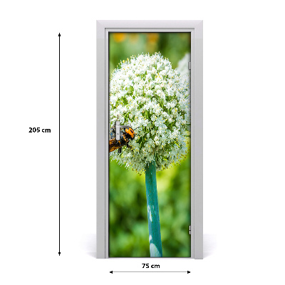 Fototapeta samolepící květ česneku