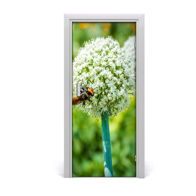 Fototapeta samolepící květ česneku