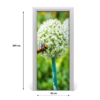 Fototapeta samolepící květ česneku