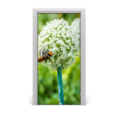 Fototapeta samolepící květ česneku