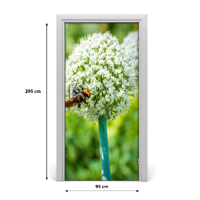 Fototapeta samolepící květ česneku