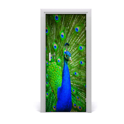 Samolepící fototapeta na dveře Páv