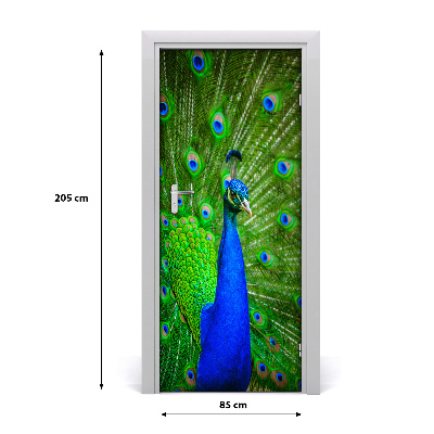Samolepící fototapeta na dveře Páv