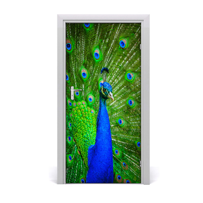 Samolepící fototapeta na dveře Páv
