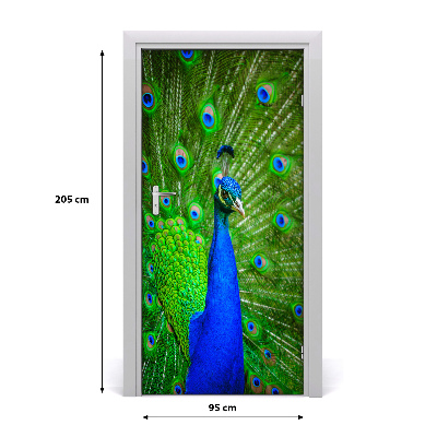 Samolepící fototapeta na dveře Páv