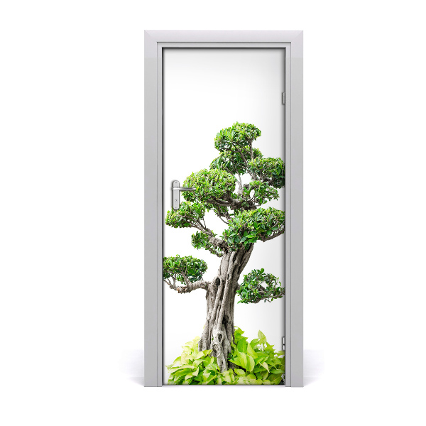 Fototapeta samolepící bonsai