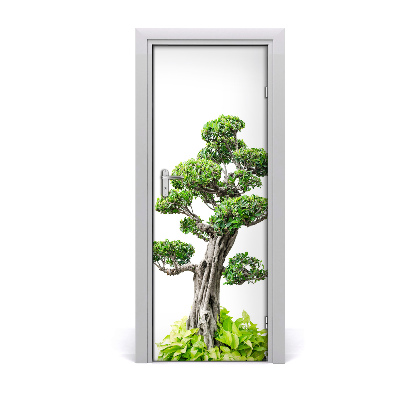 Fototapeta samolepící bonsai