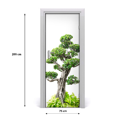 Fototapeta samolepící bonsai