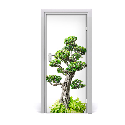 Fototapeta samolepící bonsai