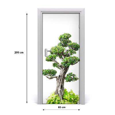 Fototapeta samolepící bonsai