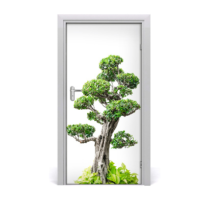 Fototapeta samolepící bonsai