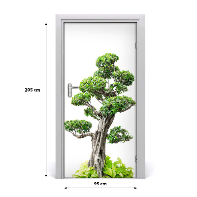 Fototapeta samolepící bonsai
