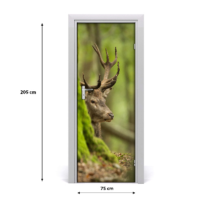 Samolepící fototapeta na dveře Jelen