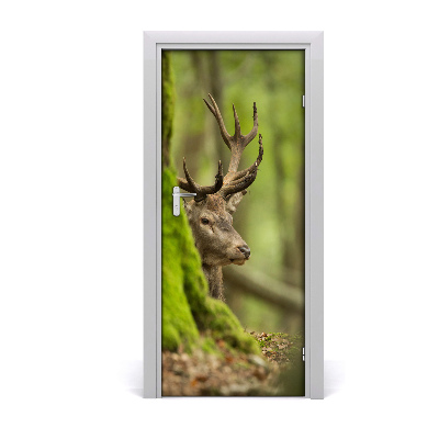 Samolepící fototapeta na dveře Jelen