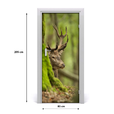 Samolepící fototapeta na dveře Jelen