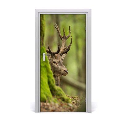 Samolepící fototapeta na dveře Jelen