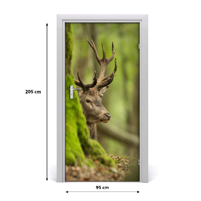 Samolepící fototapeta na dveře Jelen