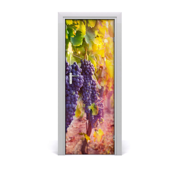Fototapeta na dveře vinnice