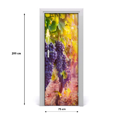 Fototapeta na dveře vinnice