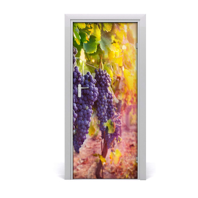 Fototapeta na dveře vinnice