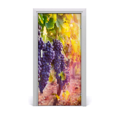 Fototapeta na dveře vinnice