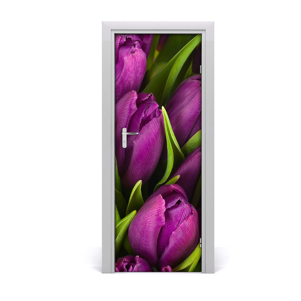 Fototapeta samolepící fialové tulipány