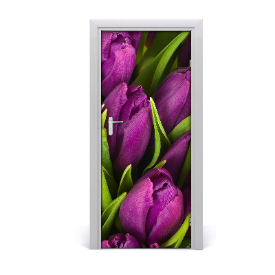 Fototapeta samolepící fialové tulipány