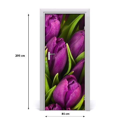 Fototapeta samolepící fialové tulipány