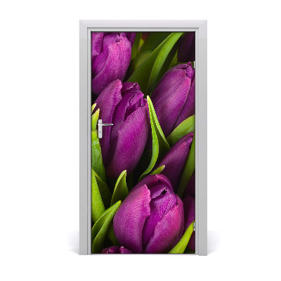 Fototapeta samolepící fialové tulipány