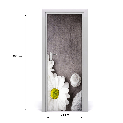 Fototapeta samolepící Gerbera