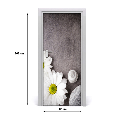 Fototapeta samolepící Gerbera