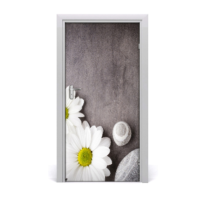 Fototapeta samolepící Gerbera