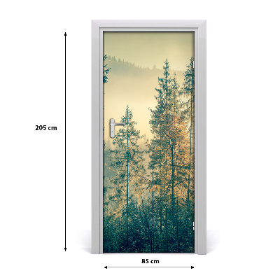 Fototapeta na dveře mlha nad lesem