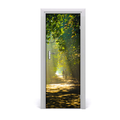 Fototapeta na dveře stezka v lese