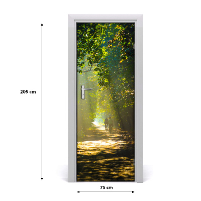 Fototapeta na dveře stezka v lese